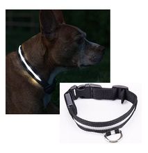 Pet Dog Collar Rechargeable LED Flashing Night